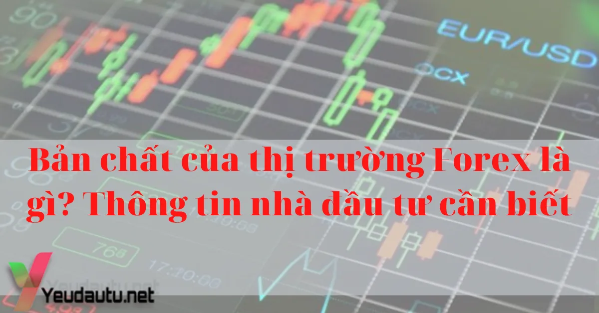 Bản chất của thị trường Forex là gì? Thông tin nhà đầu tư cần biết