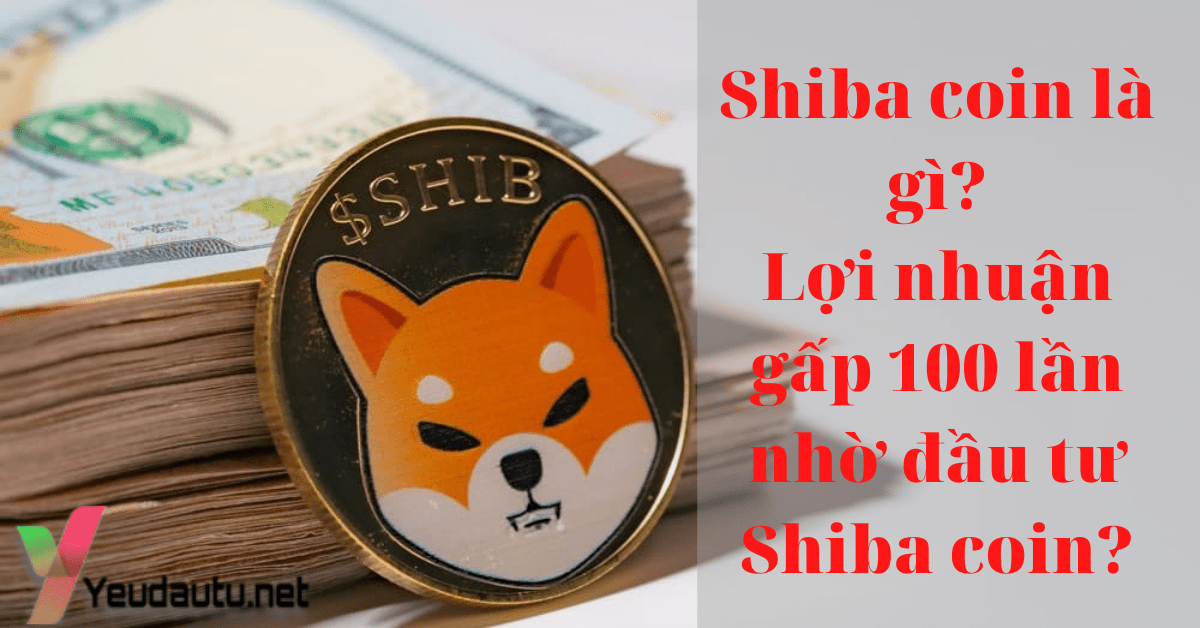 Shiba coin là gì? Lợi nhuận gấp 100 lần nhờ đầu tư Shiba coin?