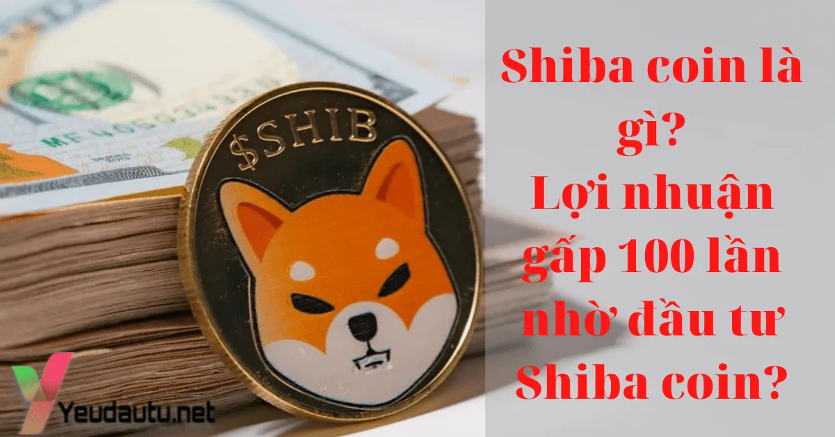 Shiba coin là gì? Lợi nhuận gấp 100 lần nhờ đầu tư Shiba coin? Shiba coin là gì? Lợi nhuận gấp 100 lần nhờ đầu tư Shiba coin?