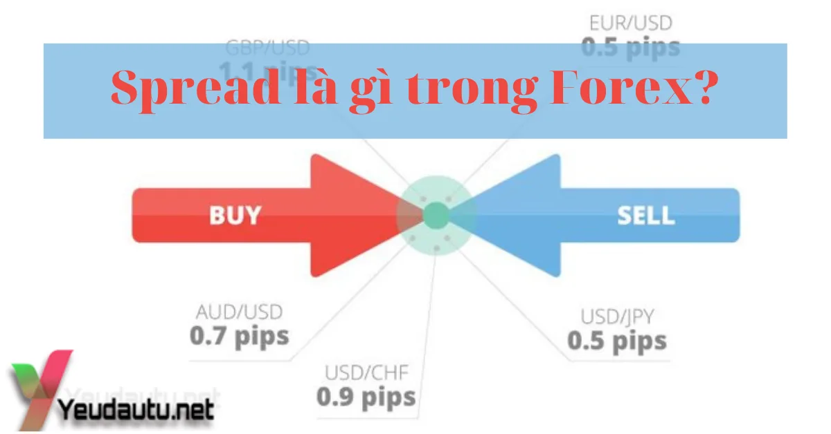 Spread là gì trong Forex? Và các yếu tố ảnh hưởng đến Spread trong Forex